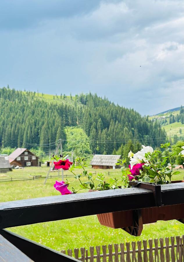 Guest House Lileya Bukovel Exterior foto